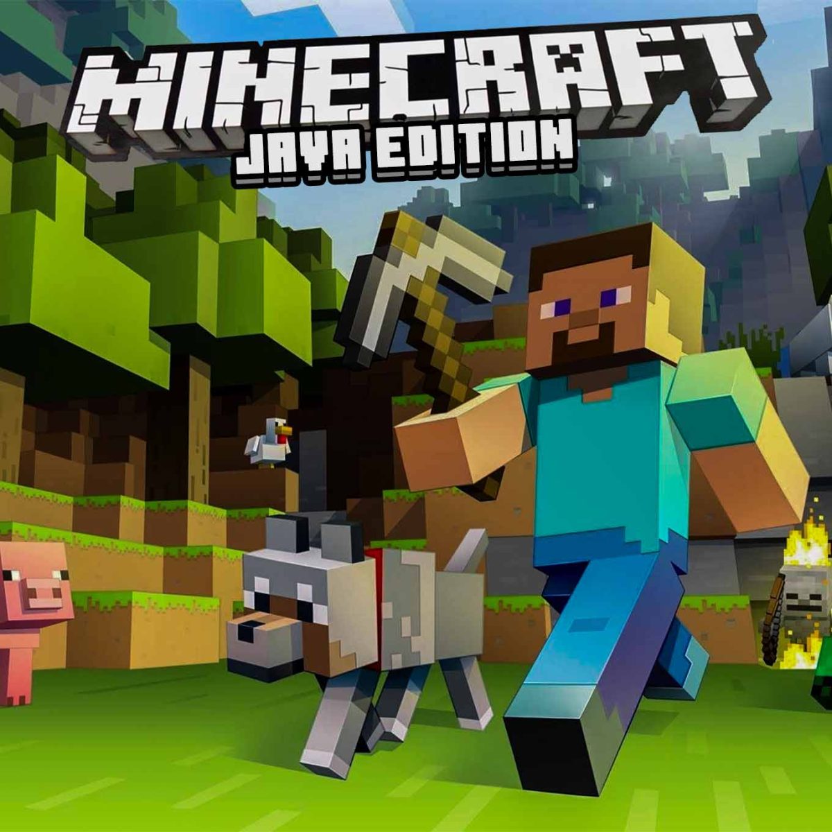 Minecraft Java Edition | FULL ACCOUNT ACCESS | Instant Delivery | 24x7 ...