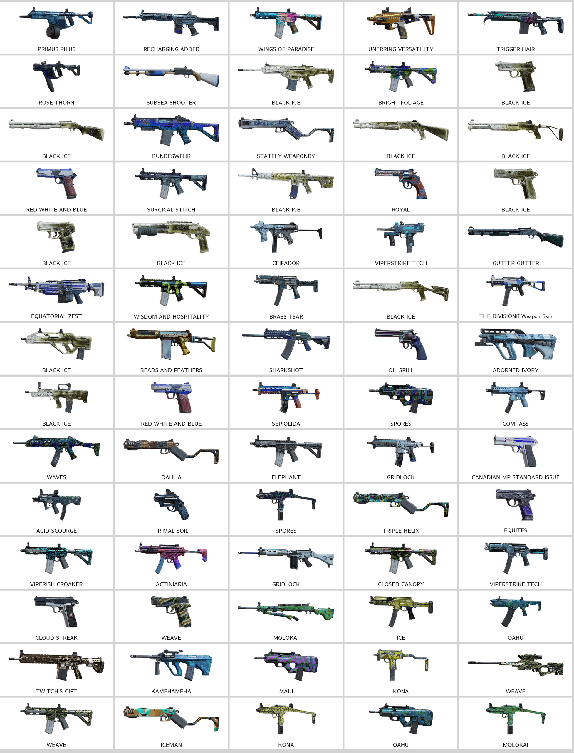 rainbow_skins.181852823_20251205122059_0.png