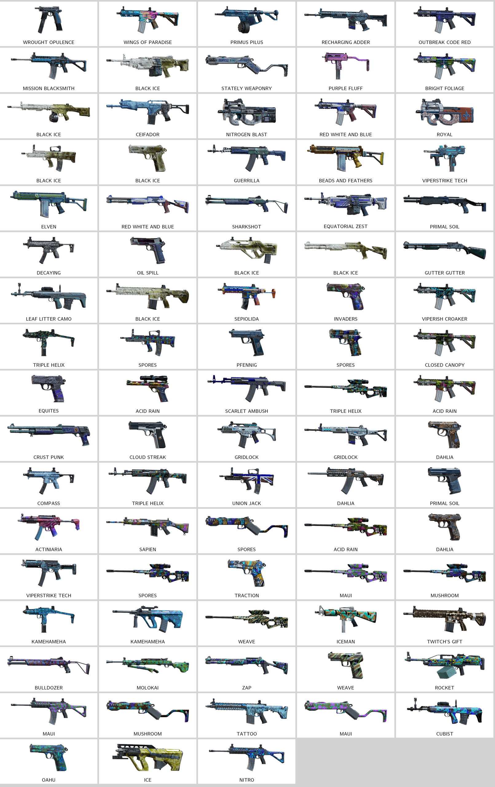 rainbow_skins.197252268_20251205134513_0.png