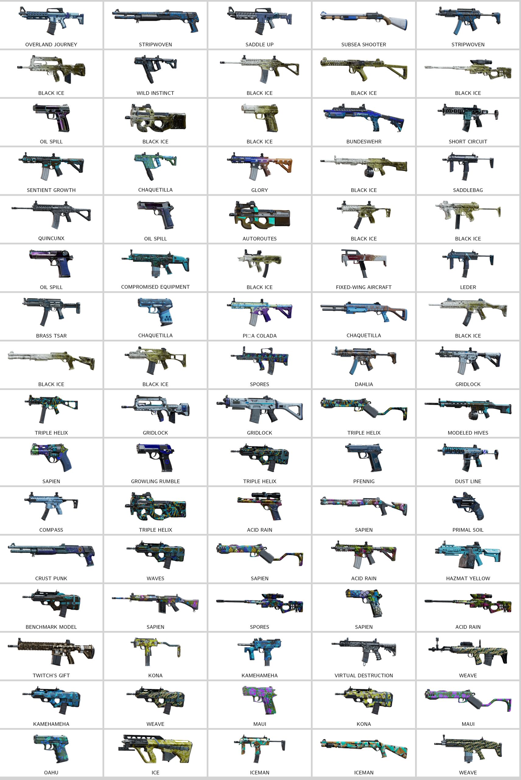 rainbow_skins.197649618_20251205133737_0.png