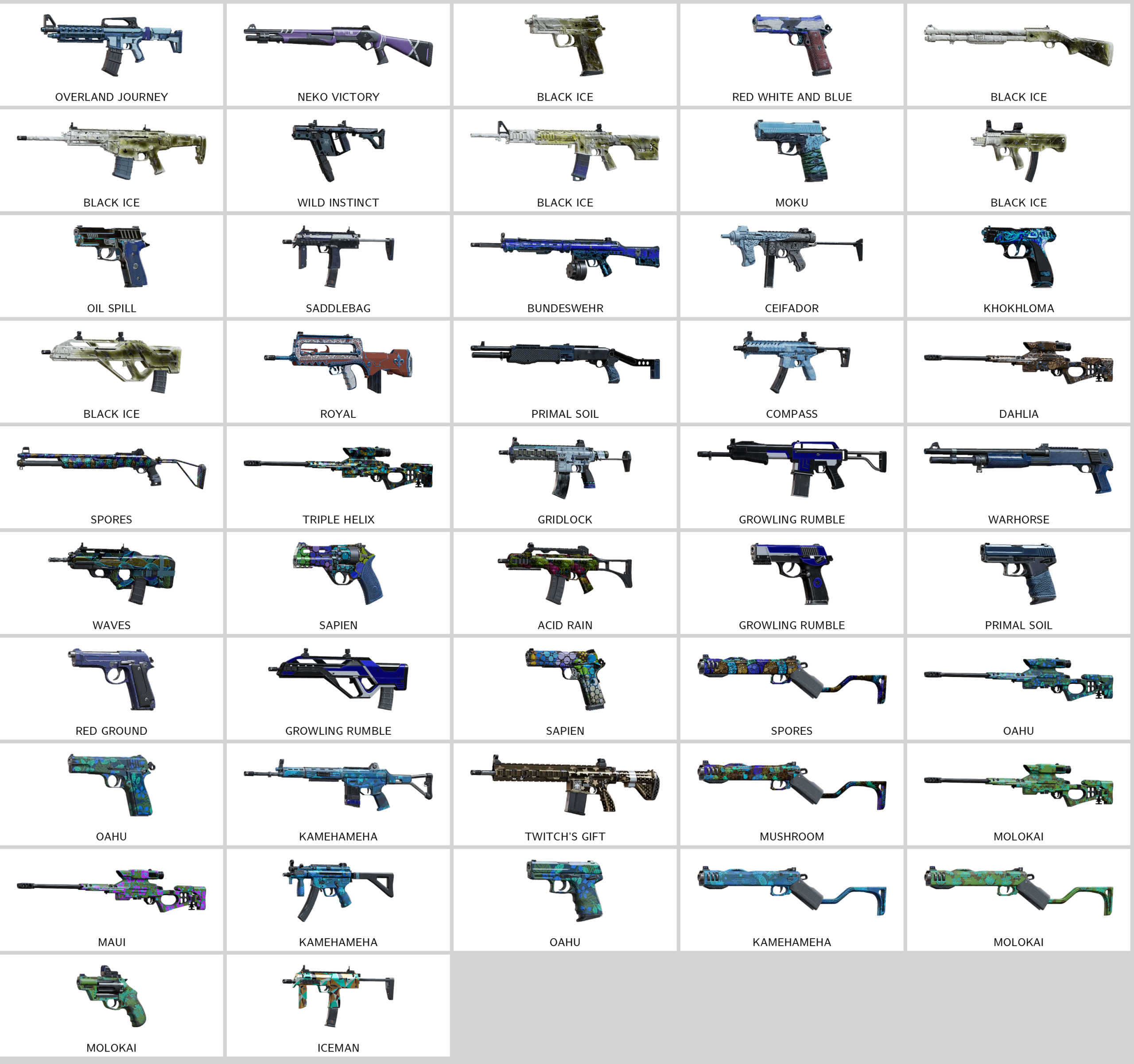 rainbow_skins.198282521_20251205134317_0.png