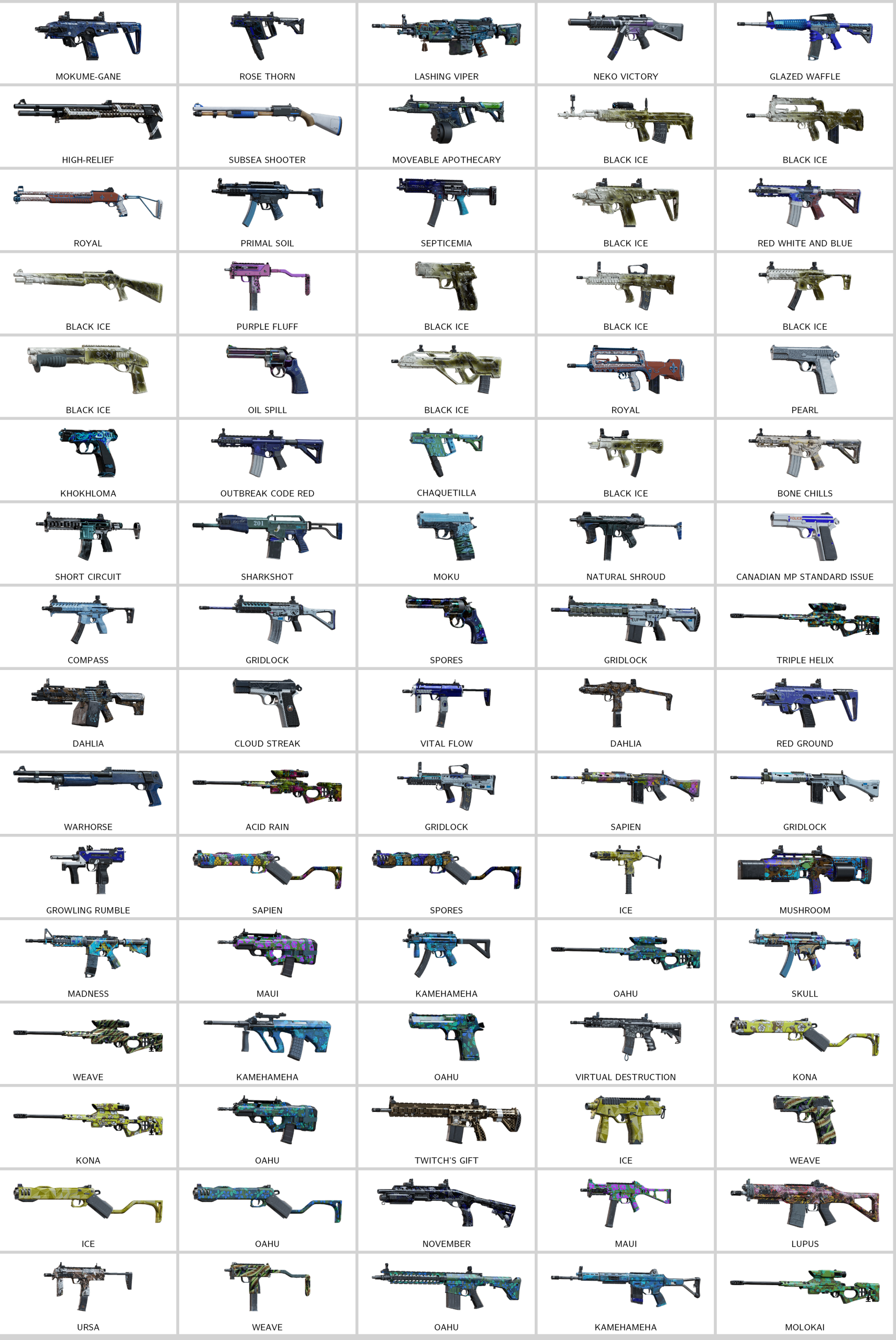 rainbow_skins.201460209_20251208132026_0.png