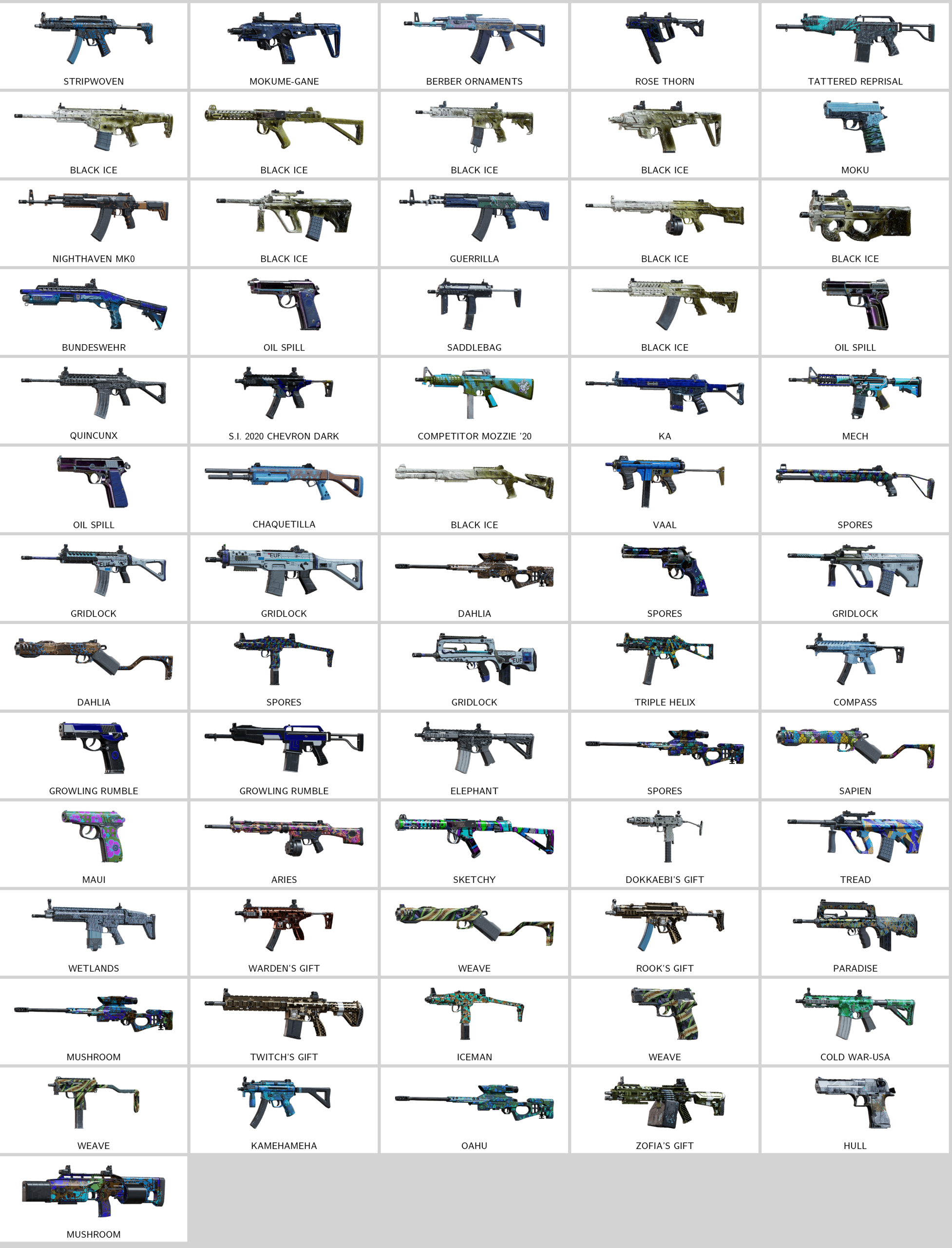 rainbow_skins.206819783_20251227190525_0.png