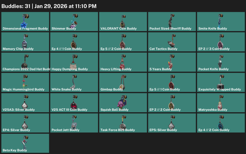 We're the kings in Game Accounts | Valorant Account Kaufen