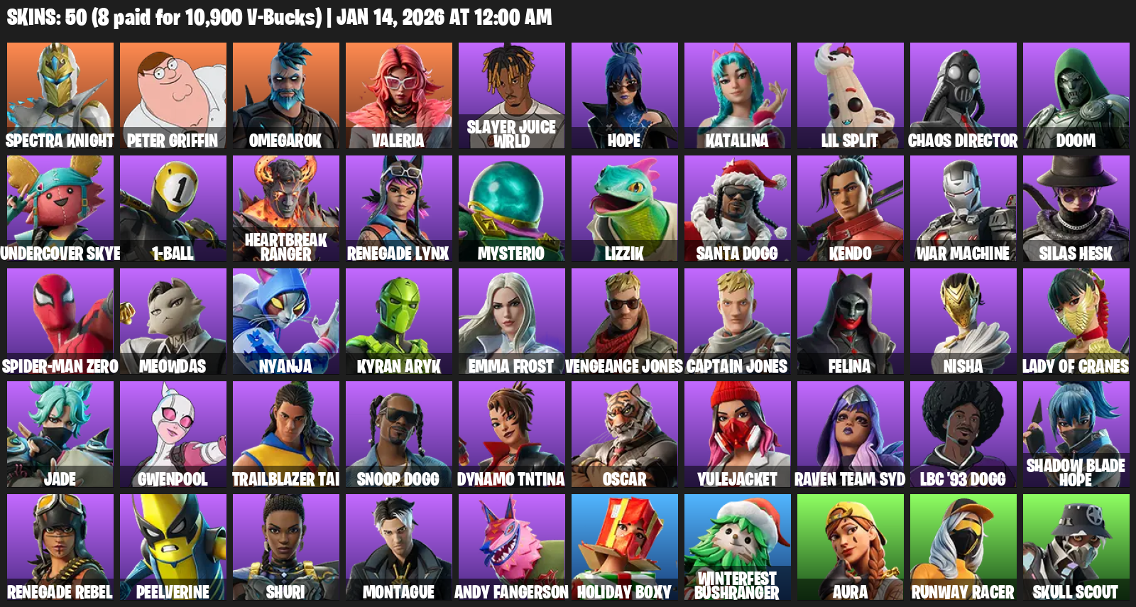 fortniteSkins_209648523_20260113193021_0.png