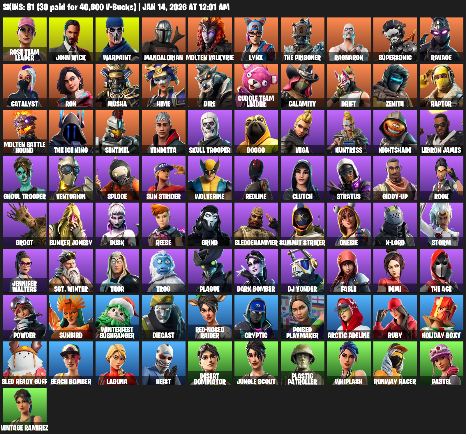 fortniteSkins_210069740_20260113193203_0.png