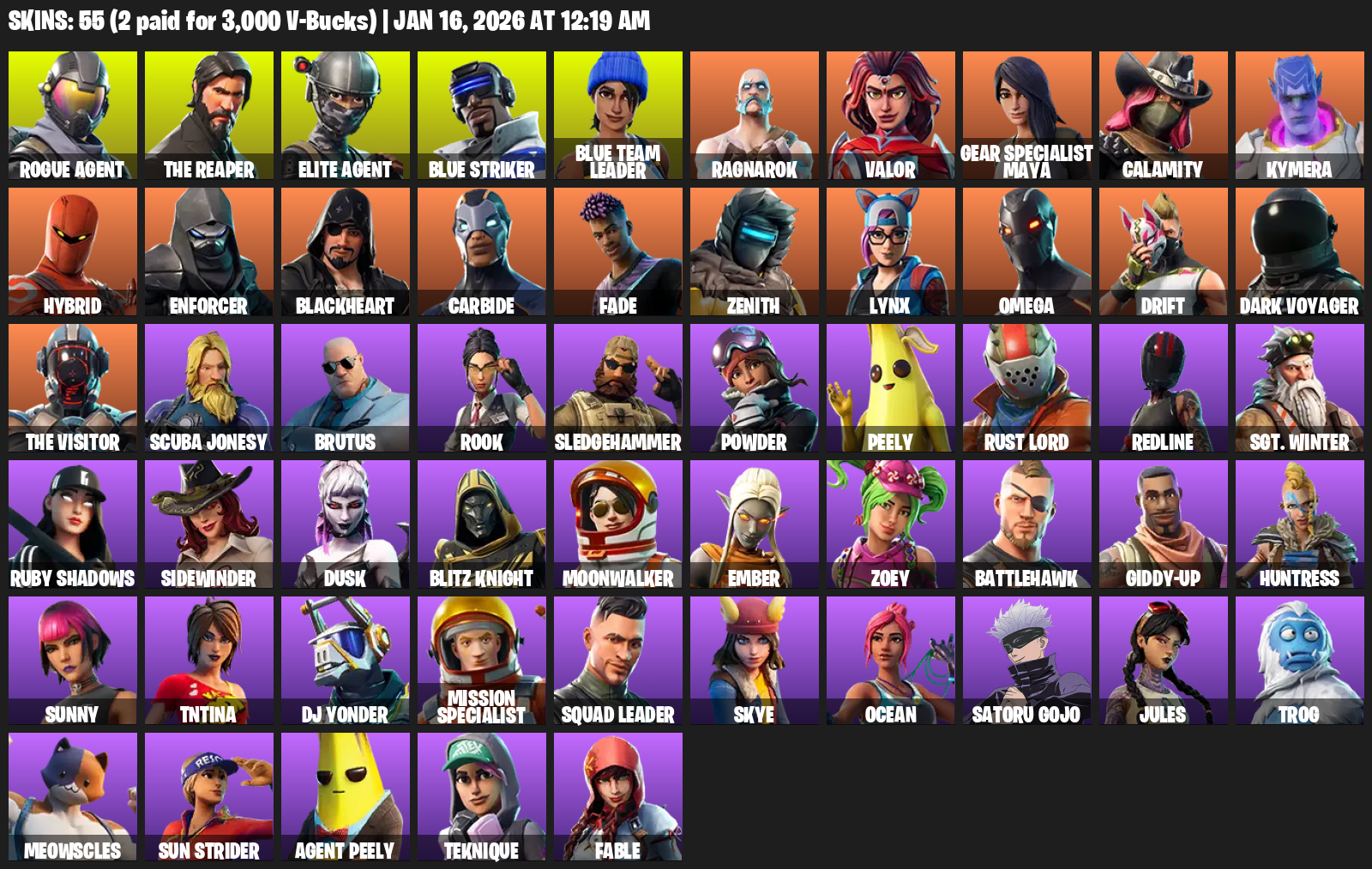 fortniteSkins_210396224_20260115194940_0.png