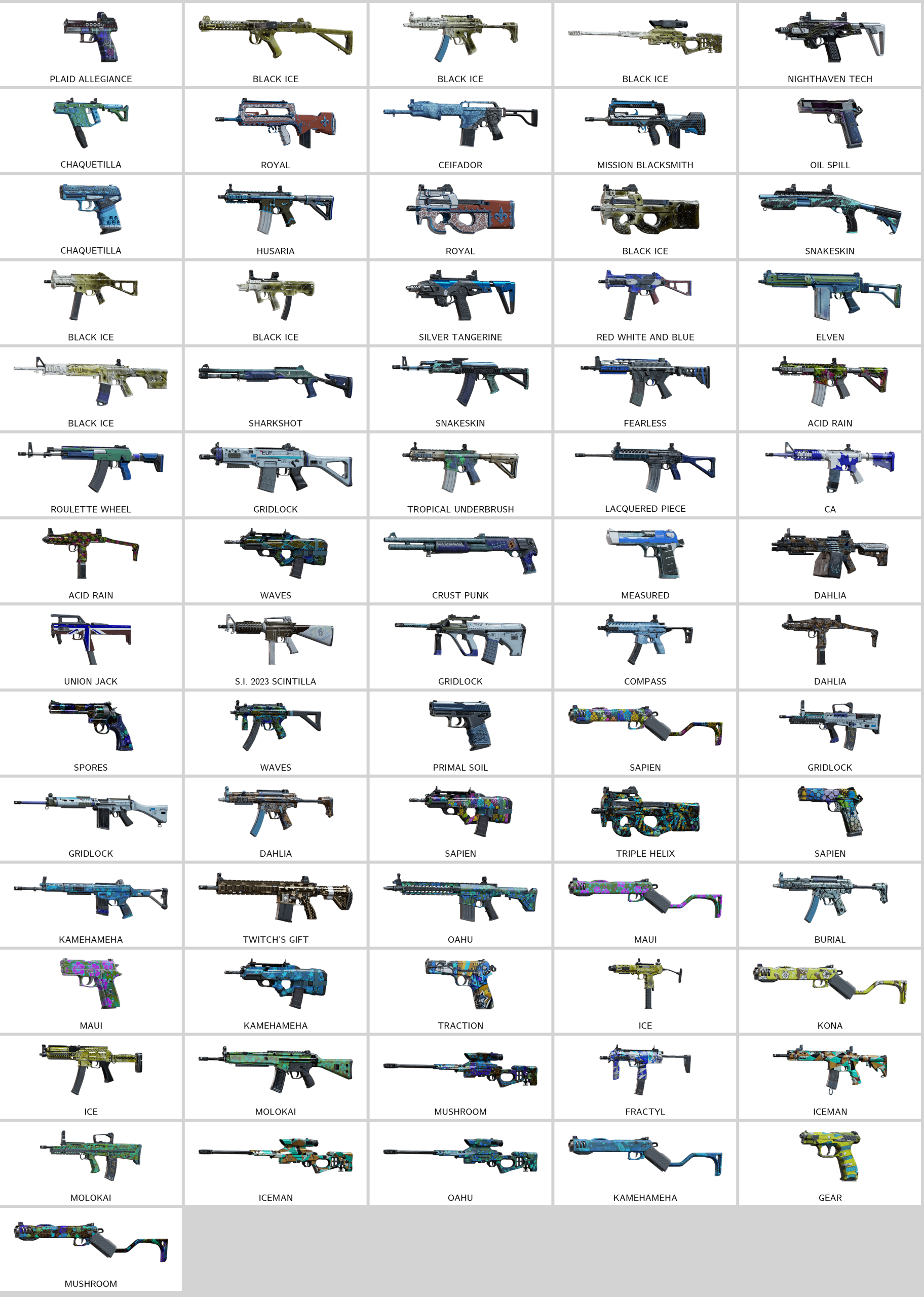 rainbow_skins.196692140_20260108092615_0.png