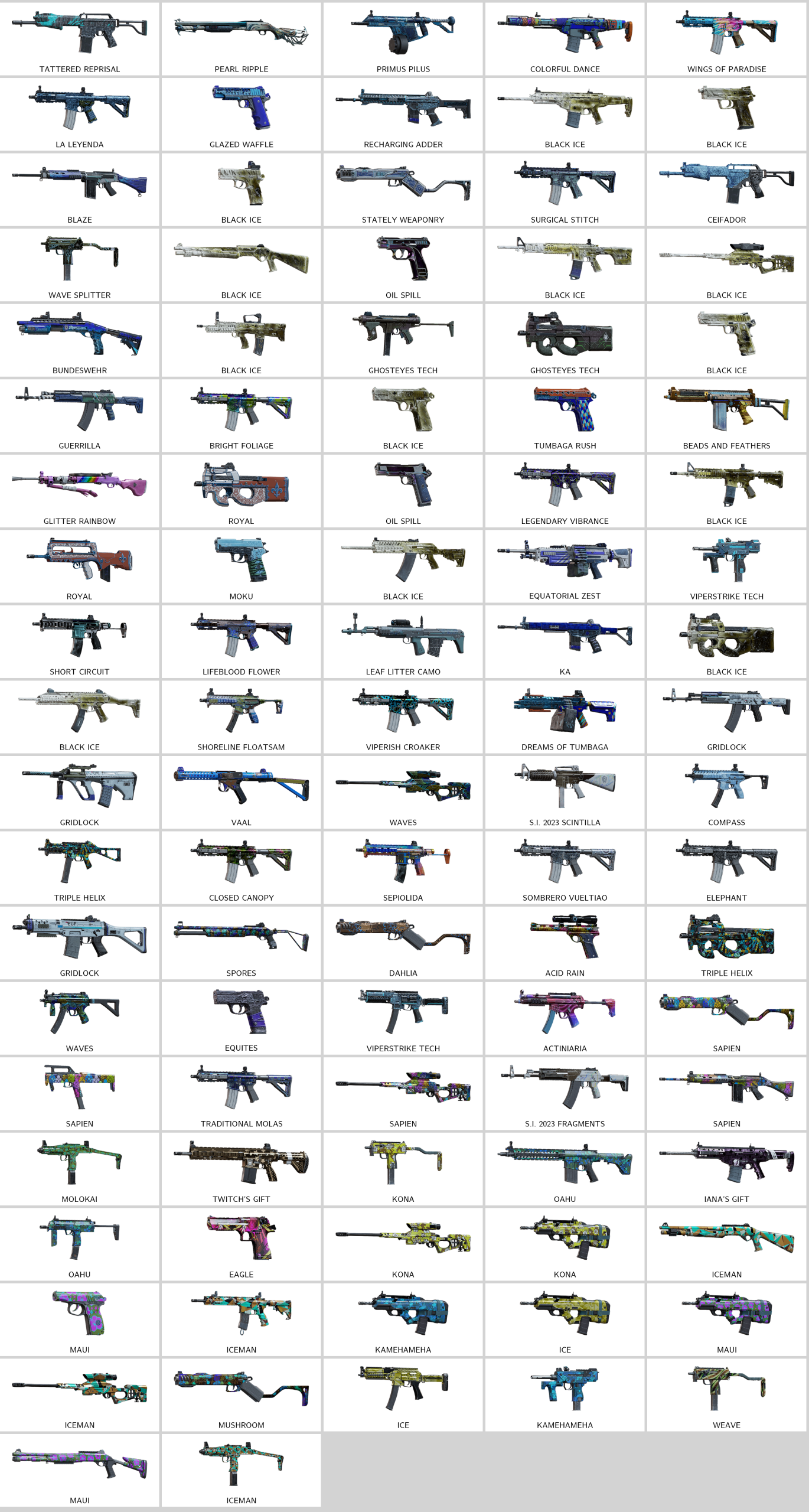 rainbow_skins.208750240_20260106202322_0.png