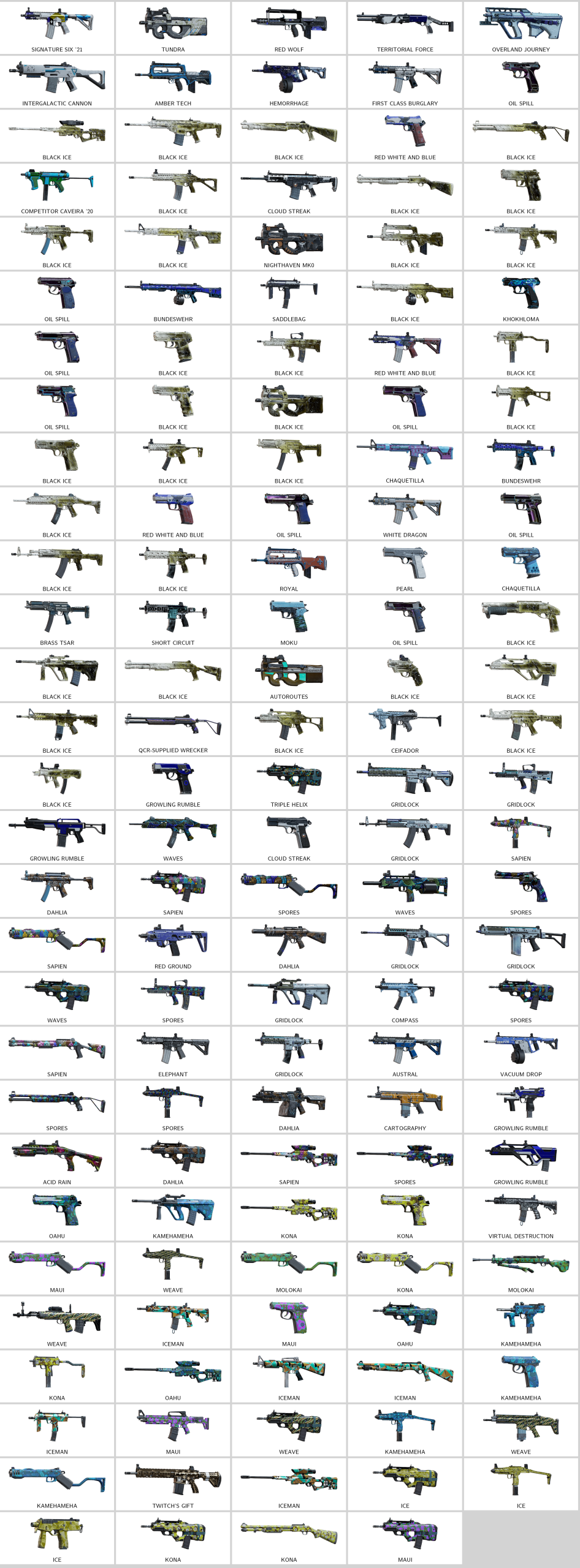 rainbow_skins.208847830_20260106201631_0.png