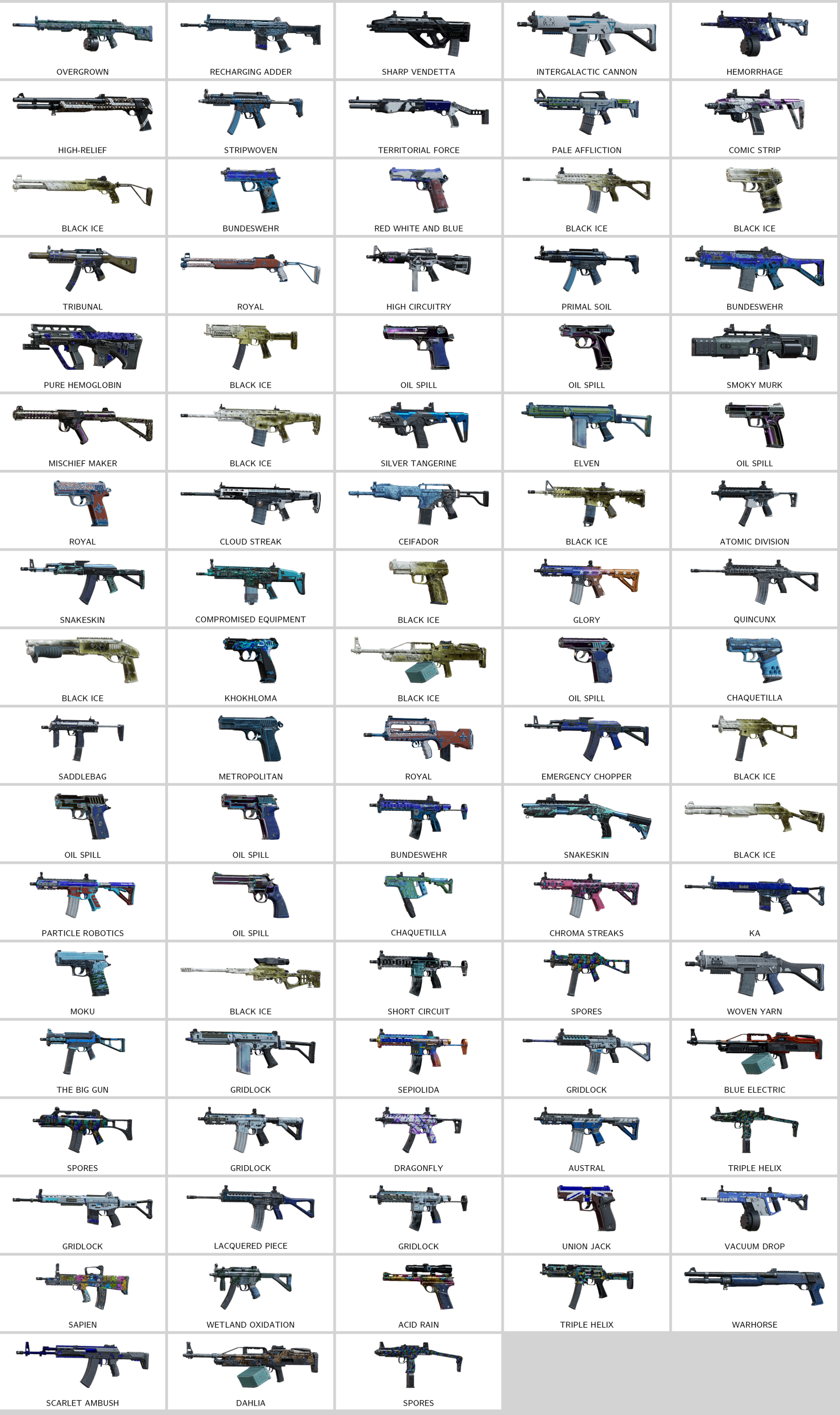 rainbow_skins.208976583_part1of2_20260108092441_0.png