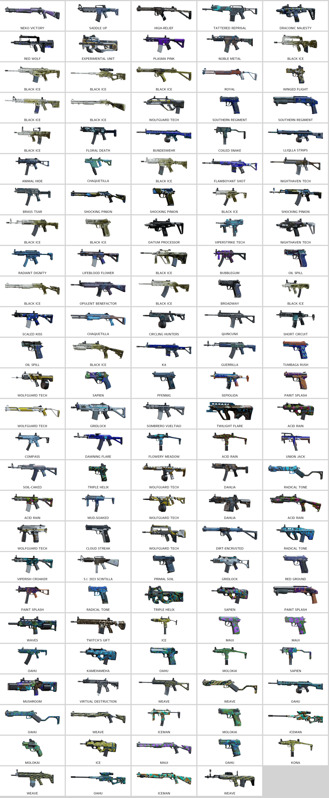 rainbow_skins.212689991_20260128150948_0.png