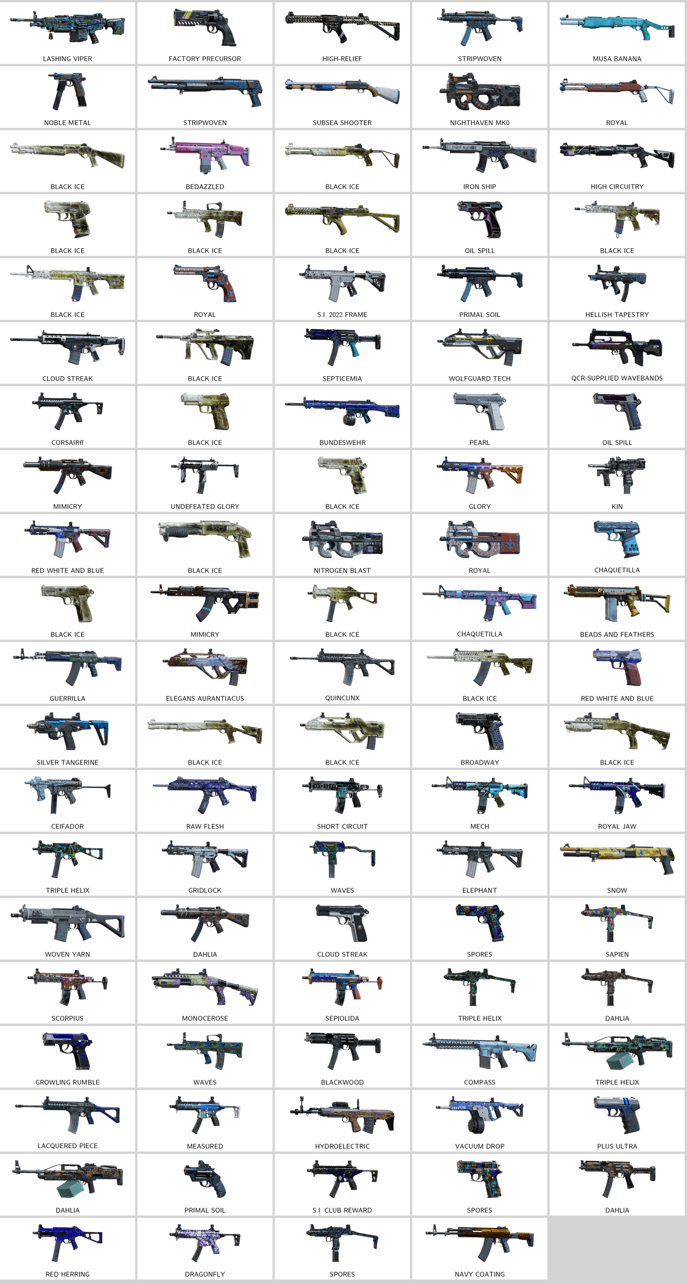 rainbow_skins.213747104_part1of2_20260131092609_0.png