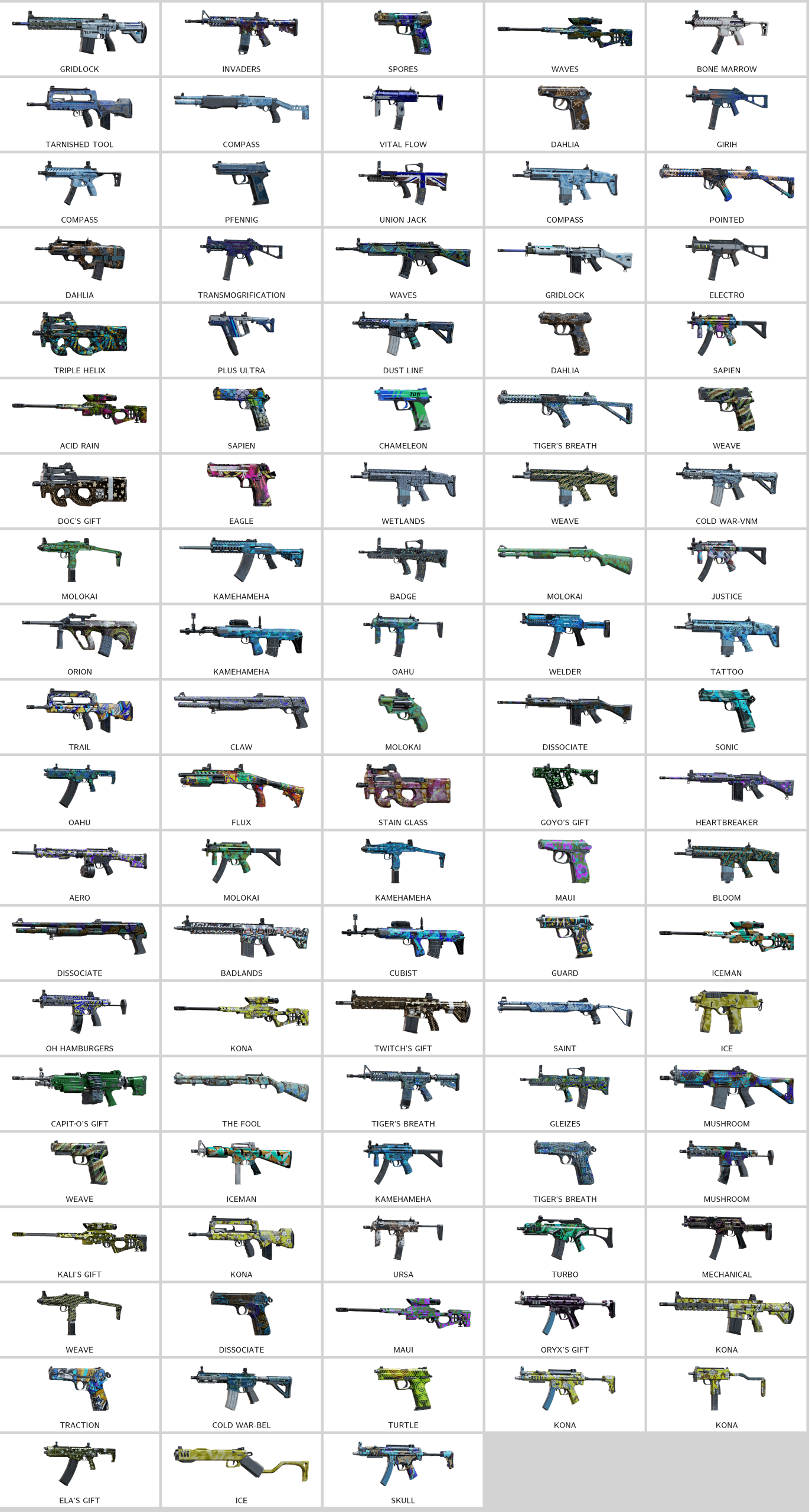 rainbow_skins.213747104_part2of2_20260131092612_0.png
